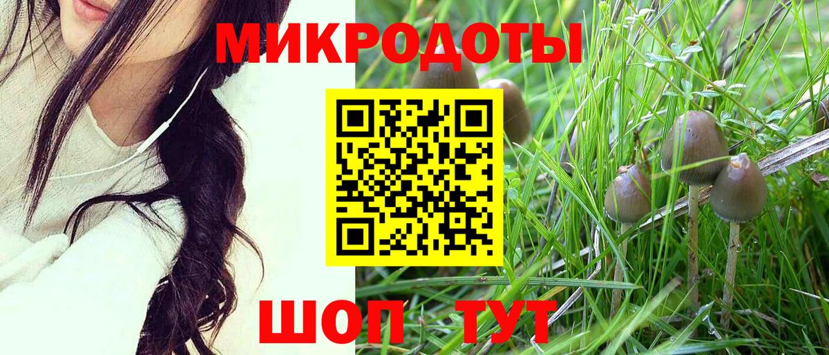 Псилоцибиновые грибы Psilocybe  Галлюциногенные грибы ЛСД  Екатеринбург  Вход с VPN 