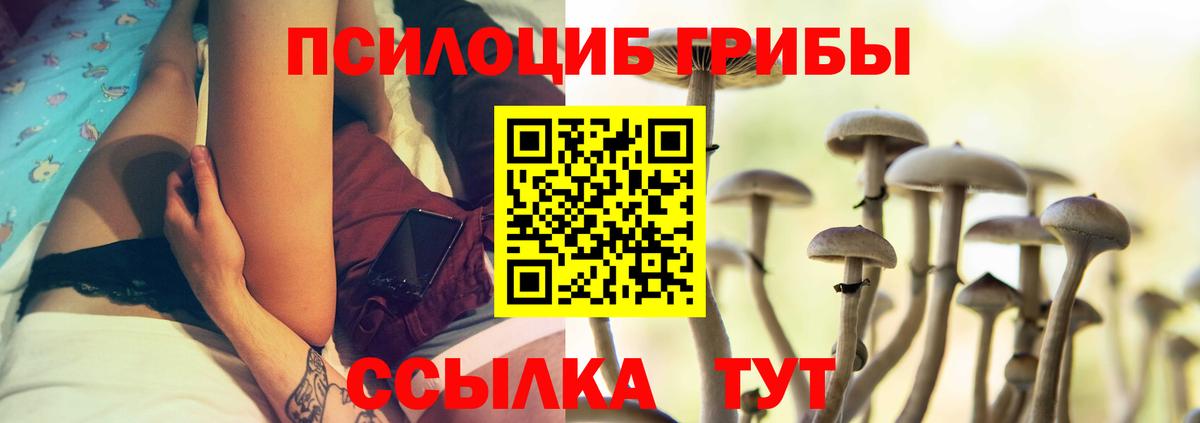 Галлюциногенные грибы GOLDEN TEACHER Екатеринбург